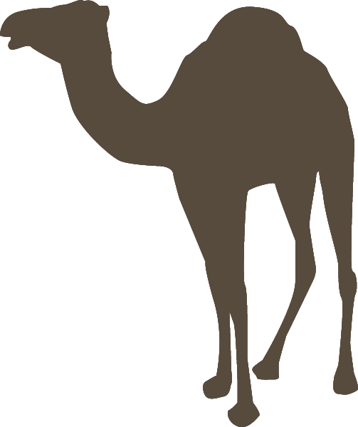 caravanserai logo